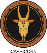 Capricorn ♑️
