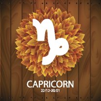 Horoscop mâine, 8 iulie 2025, astrolog Vlad Daia, Capricorn