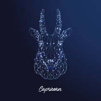Horoscopul dragostei de mâine, 9 iulie 2025, astrolog Vlad Daia, Capricorn