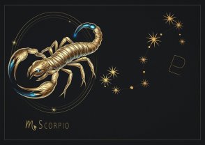 Scorpion