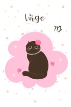 Horoscop mâine, 7 august 2025, astrolog Vlad Daia, Fecioară