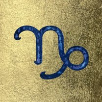 Capricorn ♑️