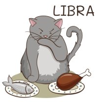 Horoscopul dragostei de mâine, 20 august 2025, astrolog Vlad Daia, Balanță