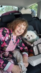 Marina Voica a împlinit 89 de ani. De ce nu a vrut marea artistă să aibă urmași. Locuiește singură la Breaza