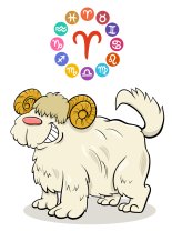 Horoscop mâine, 8 septembrie 2025, astrolog Vlad Daia, Berbec