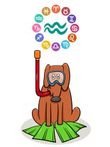 Horoscop mâine, 8 septembrie 2025, astrolog Vlad Daia, Vărsător