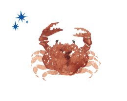 Horoscopul dragostei de mâine, 8 octombrie 2025, astrolog Vlad Daia, Rac