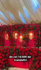 Claudia Puican și Armin Nicoară, „nunta mileniului”. Au organizat o petrecere grandioasă în Timișoara. Sala de petrecere a fost decorată cu 10 mii de trandafiri