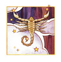 Horoscopul dragostei de mâine, 24 noiembrie 2025, Scorpion