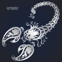 Horoscop mâine, 16 decembrie 2025, Scorpion