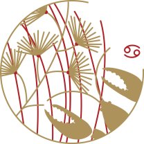 Horoscopul dragostei de mâine, 6 ianuarie 2026, Rac