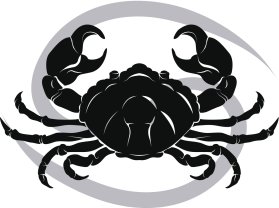 Horoscop mâine, 17 ianuarie 2026, Rac