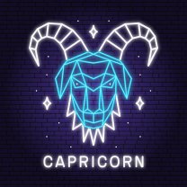 Horoscop mâine, 14 februarie 2026, Capricorn