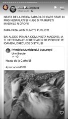 Ciprian Ciucu, primarul general al Capitalei, își împarte biroul cu o pisică. Dana Budeanu a reacționat dur la aflarea acestui detaliu. Ea are 46 de ani