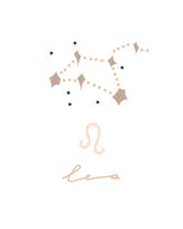 Horoscop mâine, 20 februarie 2026, Leu