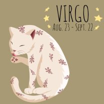 Horoscop mâine, 22 februarie 2026, Fecioară