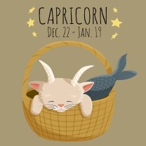 Horoscop mâine, 22 februarie 2026, Capricorn