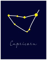 Horoscopul dragostei de mâine, 25 februarie 2026, Capricorn