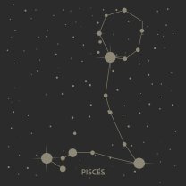 Horoscopul dragostei de mâine, 27 februarie 2026, Pești