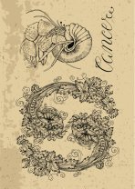 Horoscop mâine, 8 martie 2026, Rac