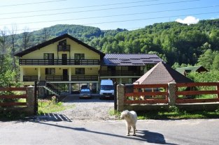 Cum trăiește mama lui Răzvan Ciobanu, la 7 ani de la decesul designerului. Duce mai departe o afacere începută alături de el: „Camerele au rămas așa cum le-a amenajat el”. Administrează pensiunea Ciobănelu'