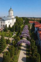 Mănăstirea Ghighiu, colțul de Rai din Prahova. Spectacolul de glicine înflorite îi face pe oameni să revină an de an la lăcașul de cult