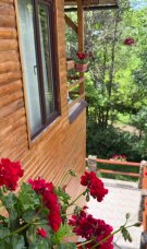 Andreea Marin, imagini în costum de baie la 51 de ani la Telega. Cum arată acum casa de vacanță a vedetei, în care mergea des în weekend-uri cu fiica ei
