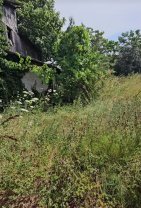 Cum arată acum casa lui Gheorghe Dincă. Locuința a ajuns o ruină, la 7 ani de la dispariția Alexandrei Măceșanu și a Luizei Melencu. Zidurile poartă semne de abandon