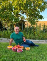 Emil Boc, mândru de roșiile culese. Cum arată grădina primarului din Cluj-Napoca: „Natura ne amintește că cele mai frumoase lucruri cresc încet”. Urmăritorii l-au complimentat pentru perseverență