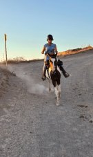 Mihaela Rădulescu, între dor și vindecare după moartea lui Felix Baumgartner. Cum încearcă să meargă mai departe. S-a întors la una dintre vechile pasiuni