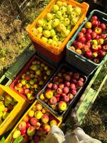 Dana Nălbaru a ajuns din nou ținta comentariilor pe internet, de această dată fiind lăudată pentru naturalețea ei. „O femeie naturală care emană frumusețe”. Adesea arată pe internet munca din spatele vieții la țară
