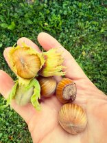 Dana Nălbaru a ajuns din nou ținta comentariilor pe internet, de această dată fiind lăudată pentru naturalețea ei. „O femeie naturală care emană frumusețe”. Ea și soțul ei s-au mutat într-un sat din Argeș