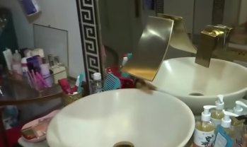 Carmen Șerban și-a amenajat casa fără designer. Cum arată locuința de lux a artistei.„Mi-am făcut un colț pentru sufletul meu”. A amenajat singută întreaga locuință