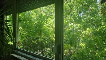 Acasă la Corina Chiriac. Cum arată locuința mică și cochetă a artistei din inima Capitalei. Are multă verdeață la balcon