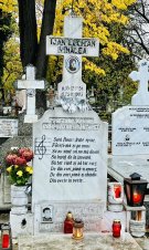 Cum arată mormântul lui Ioan Luchian Mihalea, la peste trei decenii de la moartea sa. Artistul s-a stins în 1993