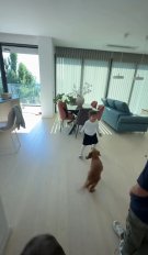 Andreea Popescu trăiește pe picior mare după divorț. Și-a cumpărat o mașină scumpă și un penthouse de lux la numai câteva luni de la separarea de Rareș Cojoc. Acum fiecare copil va avea camera sa