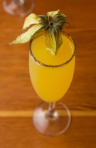 Leu - Mimosa