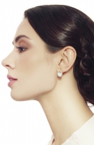 3. Cocul spaniol