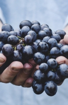 Bei apă imediat după ce ai consumat struguri