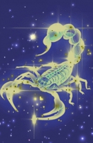 Scorpion