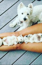 Instagram: BabyAnimal