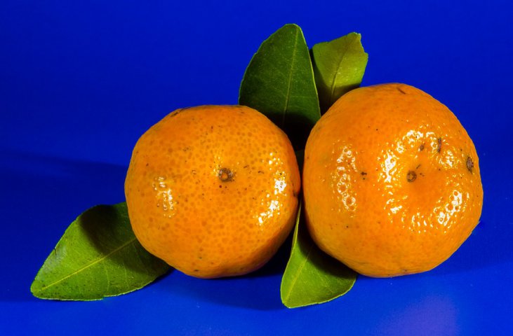 Portocale, grepfrut, mandarine