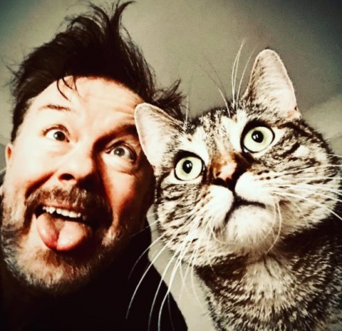 Ricky Gervais salvează animale