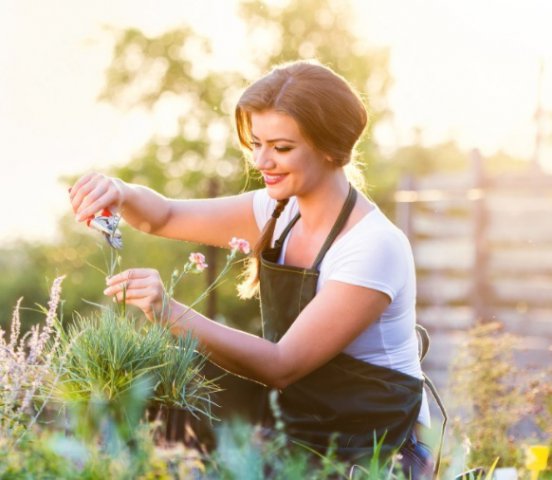 4Cosmetizează grădina