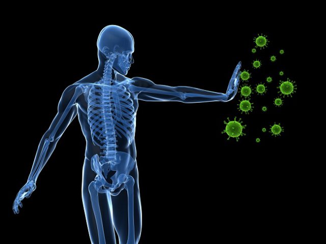 2. Aportul de carotenoide crește imunitatea