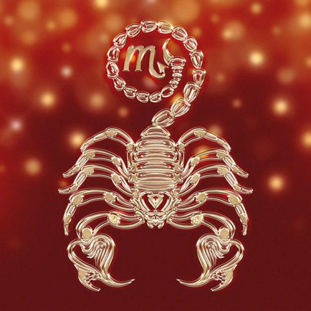 Scorpion