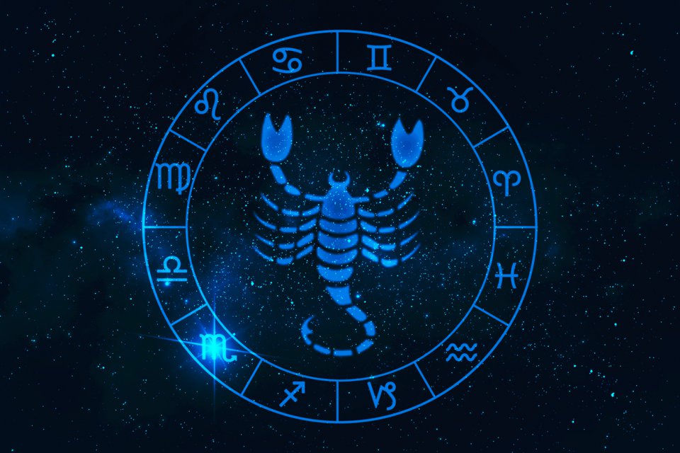 Scorpion