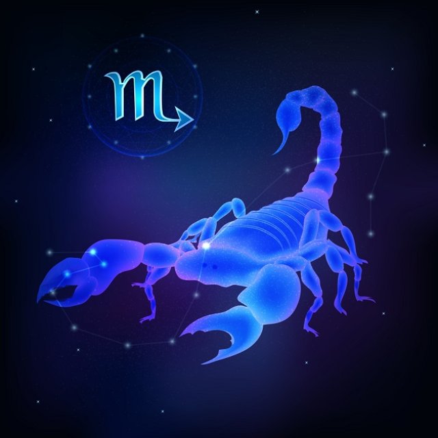 Scorpion