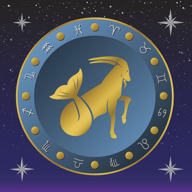 Capricorn ♑️