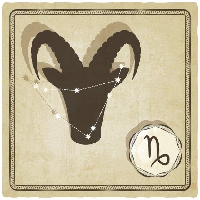 Capricorn ♑️